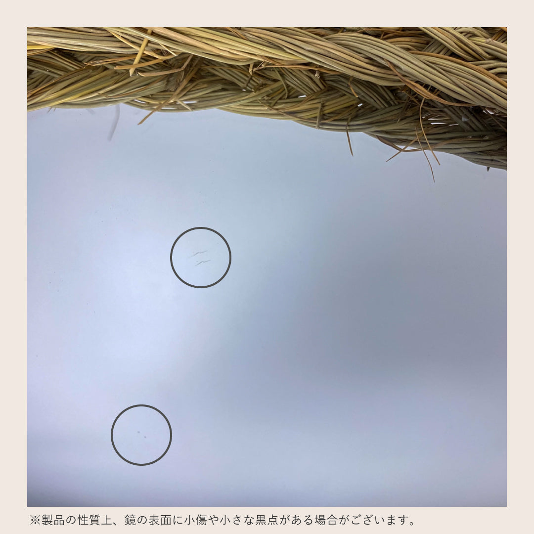 Sunpalm Medium