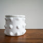 POT A SEL Small White